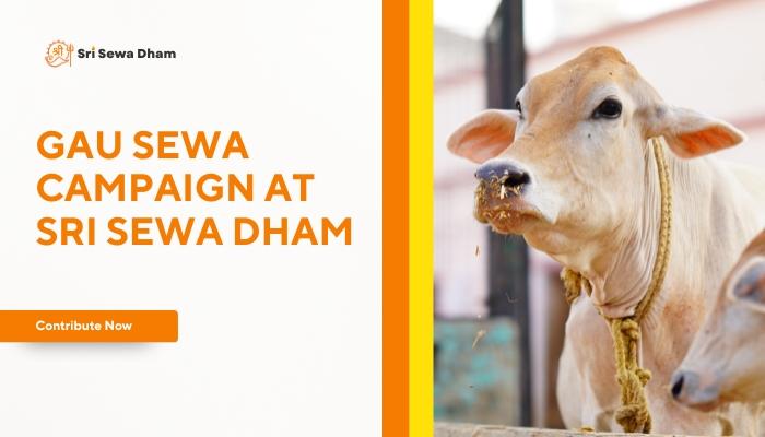 Gau Sewa Campaign by Sri Sewa Dham, Accross India